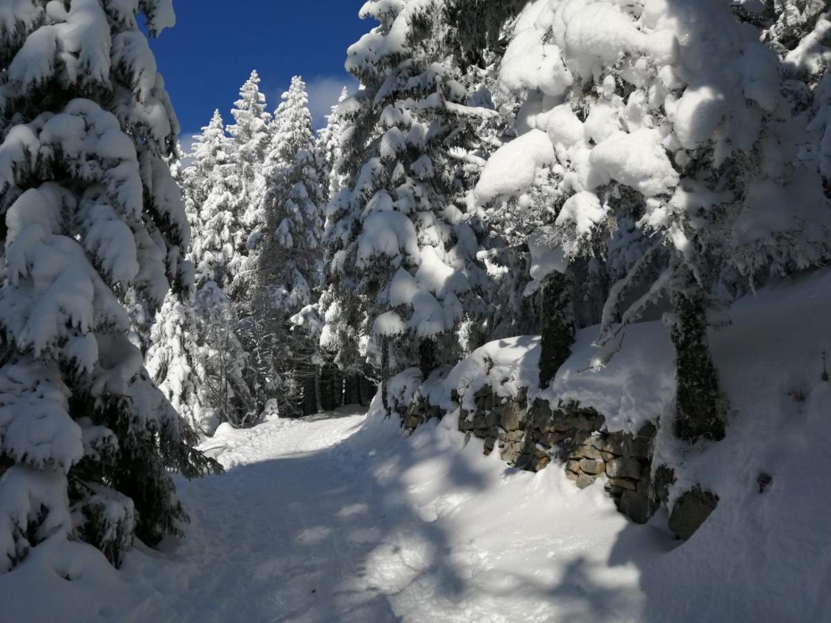 Le Winzer Bergheim
